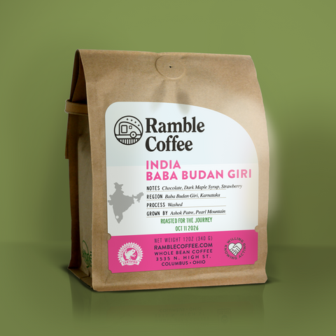INDIA | BABA BUDAN GIRI