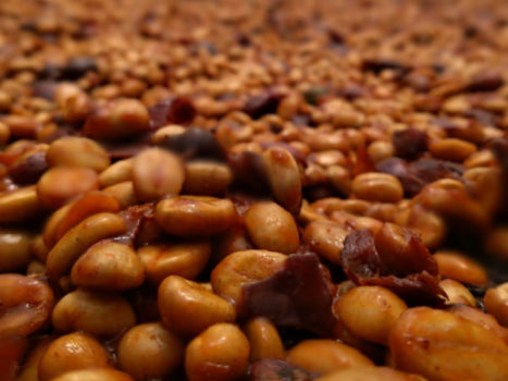 Guatemala | Joyabaj Honey Whole Bean Coffee